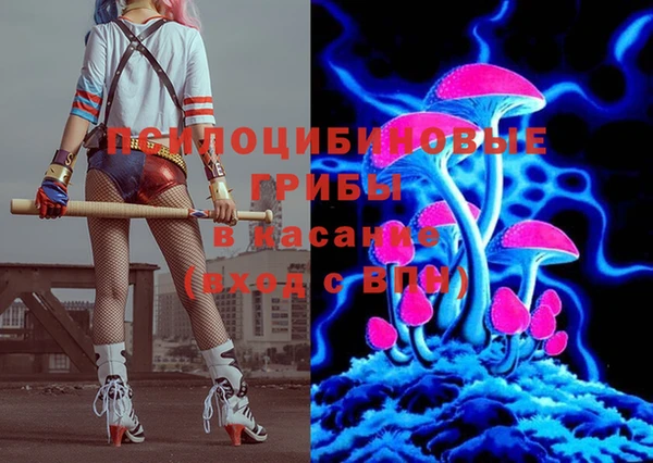 ГАЛЛЮЦИНОГЕННЫЕ ГРИБЫ Армянск