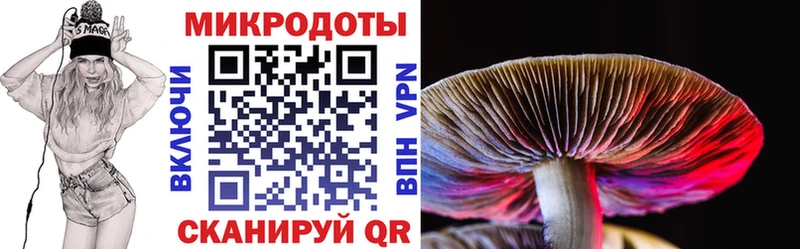 даркнет наркотические препараты  мега tor  Карабаш  как найти   Галлюциногенные грибы Cubensis 